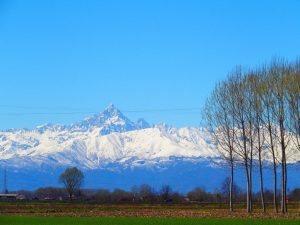 Visuale Tra Menta e Meliga