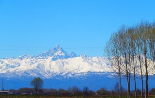 Visuale Tra Menta e Meliga