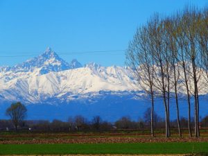 Visuale Tra Menta e Meliga