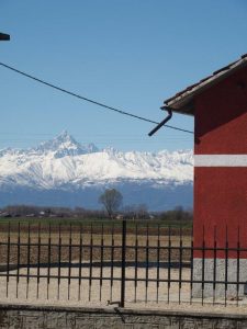 Visuale Tra Menta e Meliga